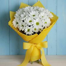 Букет цветов из:  Хризантемы в Ртищево