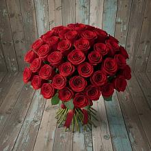 Букет 55 Красных роз Фридом #REPLACE_PRED# Ртищево
