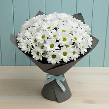 Букет цветов из:  Хризантемы в Ртищево