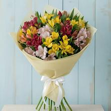 Букет цветов из:  Альстромерии в Ртищево