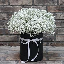 Цветочная композиция из Гипсофила в шляпной коробке #REPLACE_PRED# Ртищево