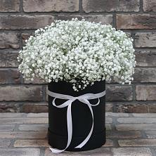 Цветочная композиция из Гипсофила в шляпной коробке в Ртищево
