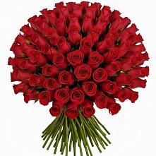 Букет Красные розы Чери Лав в Ртищево